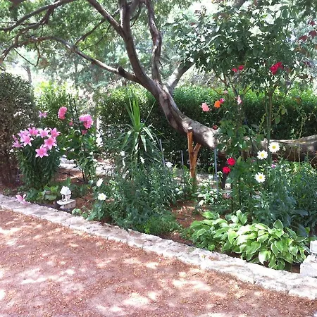 F3 Dans Elofred * Saint-Florent (Corsica)
