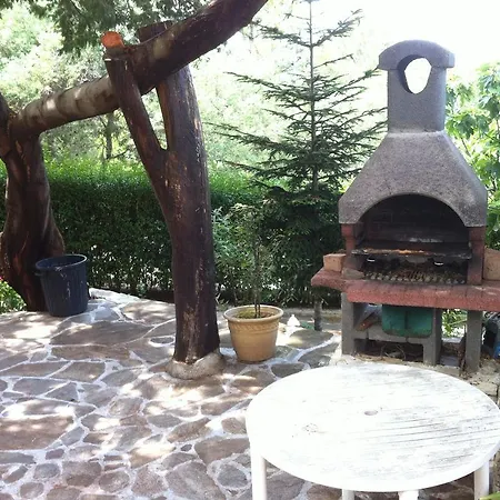 F3 Dans Elofred * Saint-Florent (Corsica)