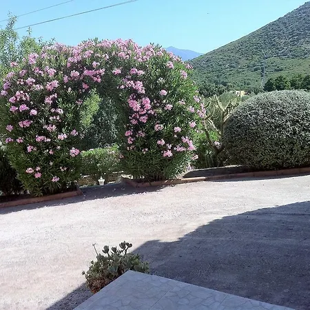 F3 Dans Elofred Saint-Florent (Corsica)