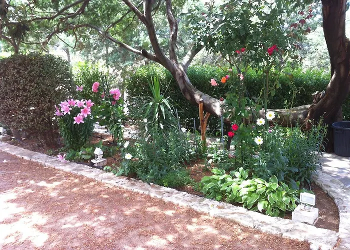 Elofred * Сен-Флоран