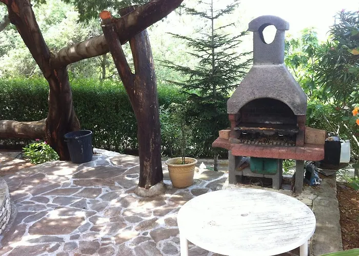 Elofred * Сен-Флоран