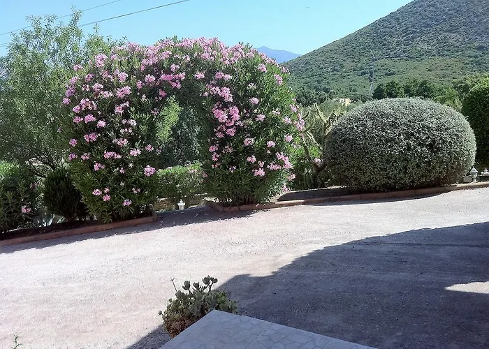 Elofred Saint-Florent (Corsica)